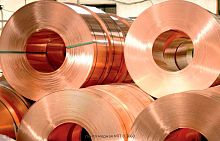 Лента медная М1Т 0.3х60